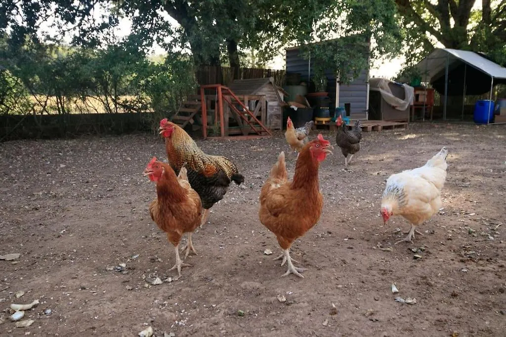 Une Bastide A La Ferme, Avec Piscine Tavernes