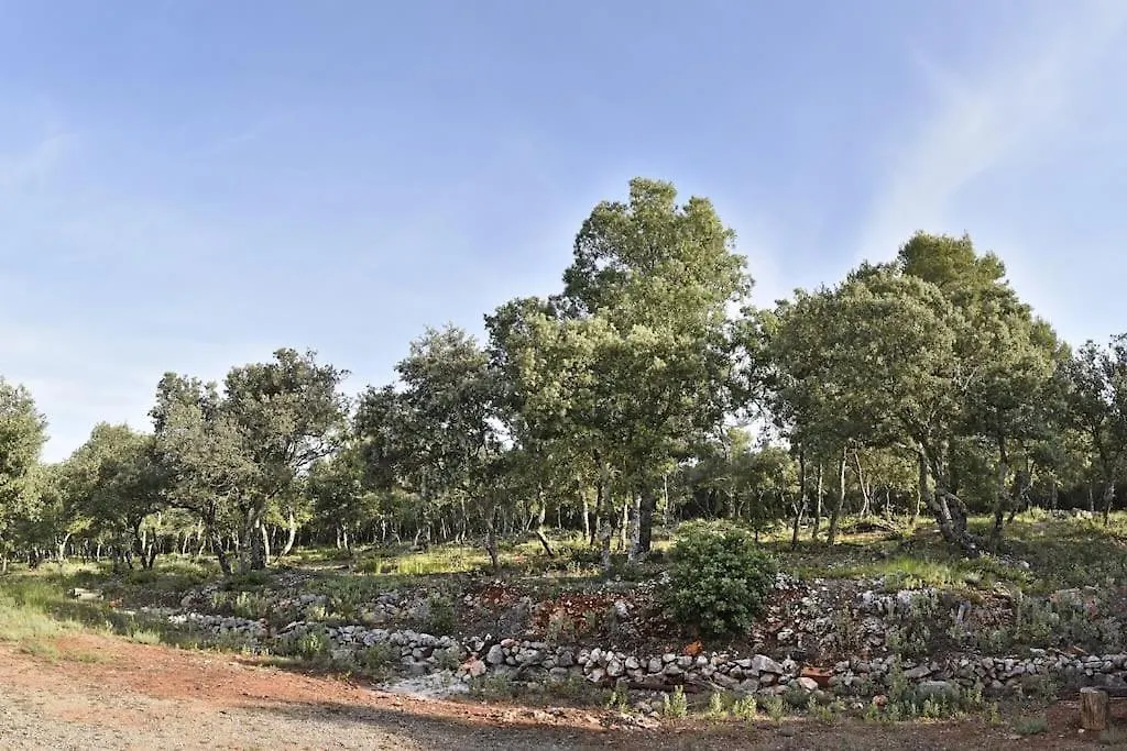 Une Bastide A La Ferme, Avec Piscine Tavernes France