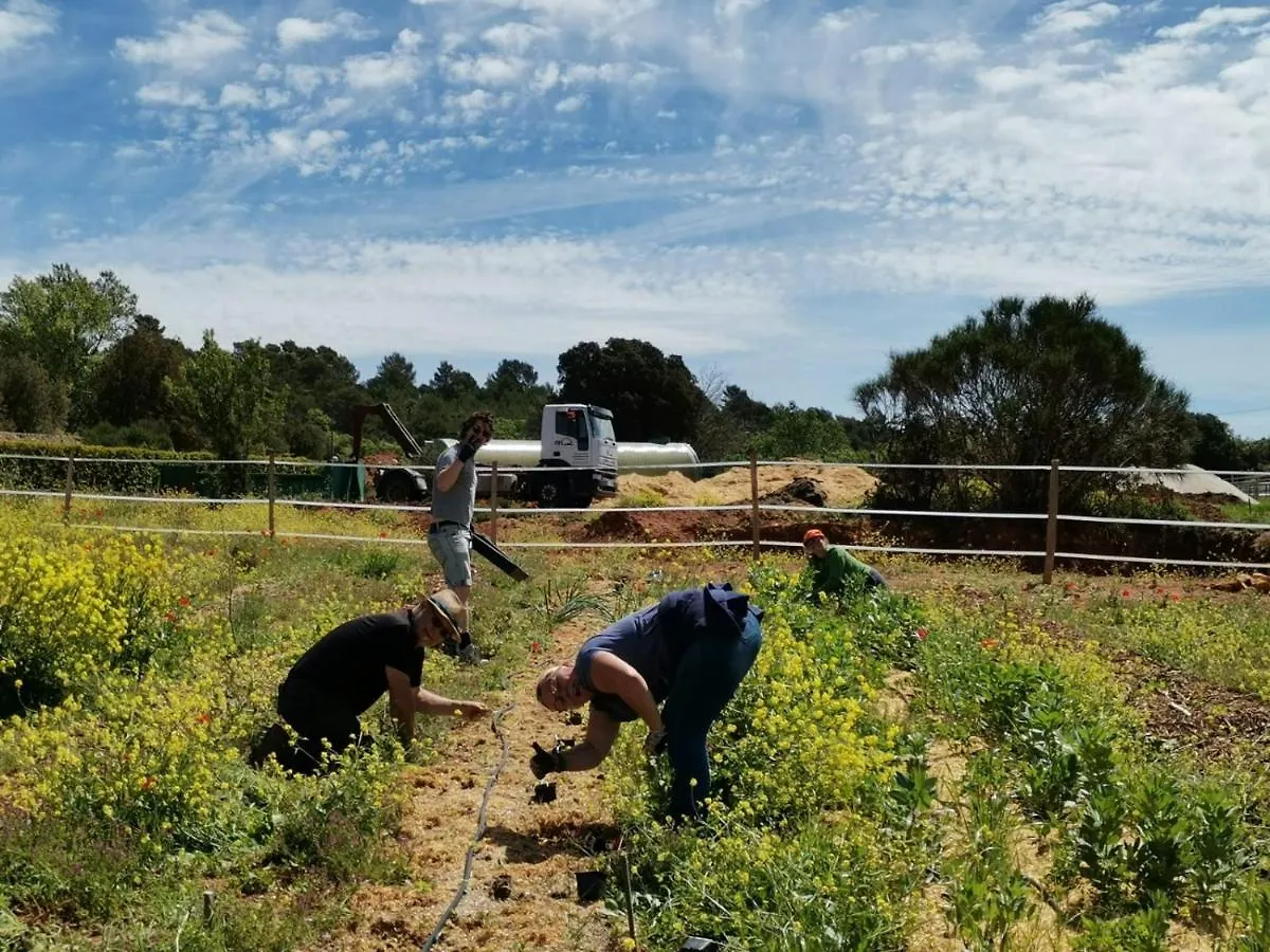 Holiday home Une Bastide A La Ferme, Avec Piscine Tavernes France